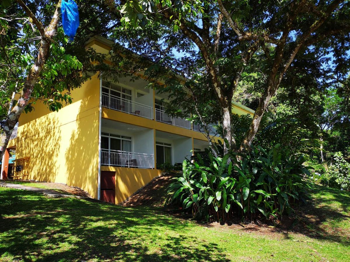 Hotel Villa Florencia Turrialba Exteriér fotografie