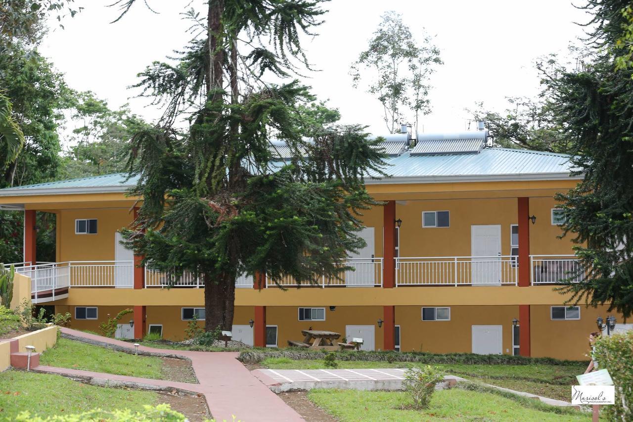 Hotel Villa Florencia Turrialba Exteriér fotografie