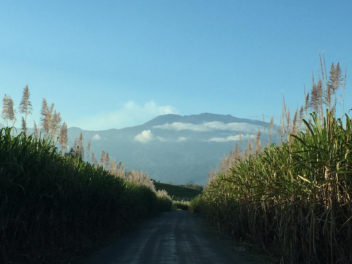 Hotel Villa Florencia Turrialba Exteriér fotografie